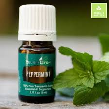 Young Living borsmenta - peppermint